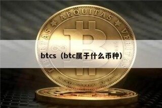 btcs（btc属于什么币种）